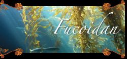 Fucoidan loại nào tốt? Cách sử dụng hiệu quả