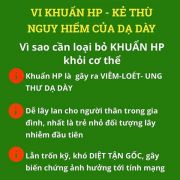 Thuốc đặc trị vi khuẩn HP Lansup 400 hỗ trợ dạ dày