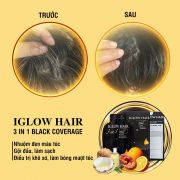 Dầu gội phủ bạc tóc Iglow Hair 3 in 1 Hàn Quốc hộp 15ml x 5 gói
