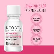 Dung dịch chấm mụn Neogen A Clear AID Hàn Quốc