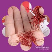 Nhụy hoa nghệ tây Saffron Tak Momtaz Iran chính hãng