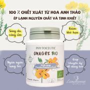 Tinh dầu hoa anh thảo Phytoceutic Onagre Bio của Pháp 90 viên
