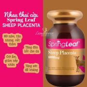 Nhau thai cừu Sheep Placenta 60000mg Spring Leaf 120 viên