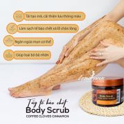 Tẩy tế bào chết quế hồi cà phê Body Scrub Bilena 380g 