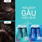 Bộ dầu gội trị gàu H&S Nhật Bản 450ml x 2 chính hãng