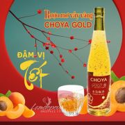 Rượu mơ vảy vàng Choya Gold 500ml của Nhật Bản
