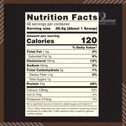 Bột protein Gold Standard Whey Double Rich Chocolate của Mỹ