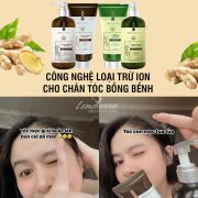Combo gội xả gừng Weilaiya Zingiber X2 mẫu mới nhất