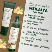 Bộ gội xả gừng Weilaiya, giảm gãy rụng, giúp tóc dày mượt