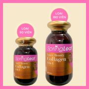 Collagen 6 in 1 Spring Leaf Inner Beauty Úc chống lão hóa