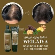 Dầu gội xả gừng hà thủ ô Weilaiya mẫu mới, giảm rụng tóc