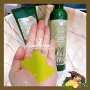 Dầu gội xả gừng hà thủ ô Weilaiya mẫu mới, giảm rụng tóc