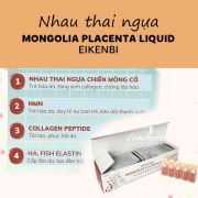 Nhau thai ngựa chiến Mongolia Placenta Liquid 30 ống Nhật Bản