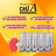 Viên đặt trĩ chữ A Borraginol của Nhật Bản hộp 20 viên