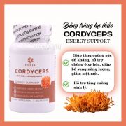 Đông trùng hạ thảo Felix Cordyceps 30 viên của Mỹ