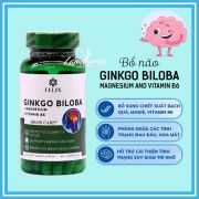 Bổ não Felix Ginkgo Biloba Magnesium Vitamin B6 của Mỹ