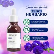 Boosted serum hoa đậu biếc Herbario ngừa lão hóa 30ml