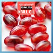 Dầu nhuyễn thể Krill Oil Kirkland 500mg 180 viên của Mỹ
