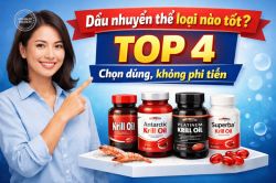 Dầu nhuyễn thể loại nào tốt? Top 4 chọn đúng, không phí tiền