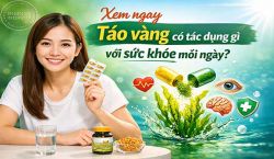 Xem ngay Tảo vàng có tác dụng gì với sức khỏe mỗi ngày?